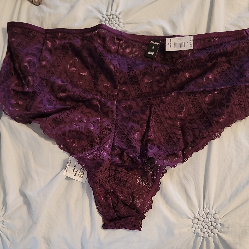Lace Bikini Briefs in Deep Plum